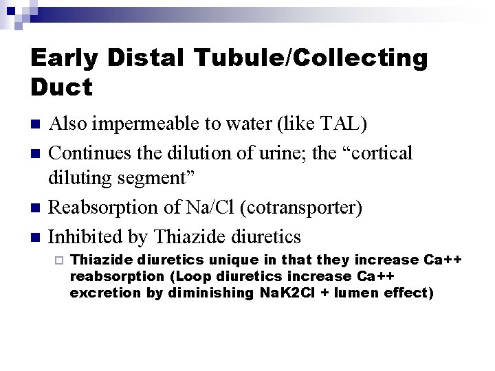 Early Distal Tubule/Collecting Duct n n Also impermeable to water (like TAL) Continues the