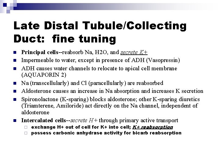 Late Distal Tubule/Collecting Duct: fine tuning n n n n Principal cells--reabsorb Na, H