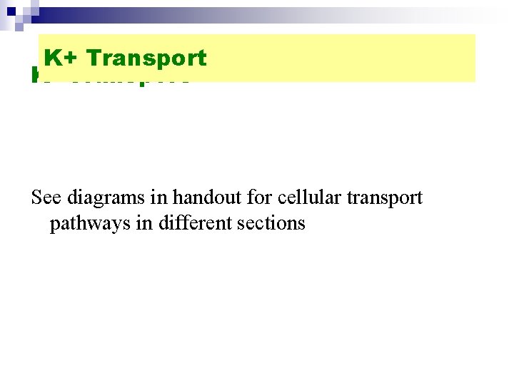 K+ Transport See diagrams in handout for cellular transport pathways in different sections 