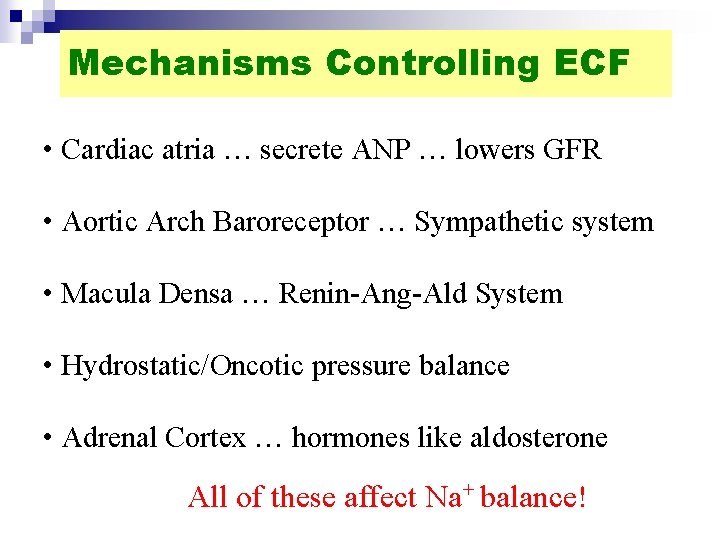 Mechanisms Controlling ECF • Cardiac atria … secrete ANP … lowers GFR • Aortic