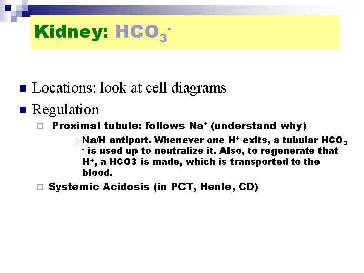 Kidney: HCO 3 n n Locations: look at cell diagrams Regulation ¨ Proximal tubule: