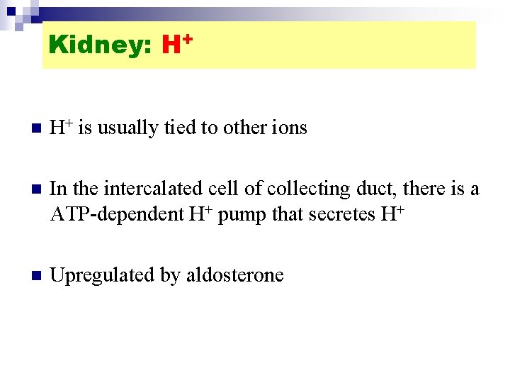 Kidney: H+ n H+ is usually tied to other ions n In the intercalated
