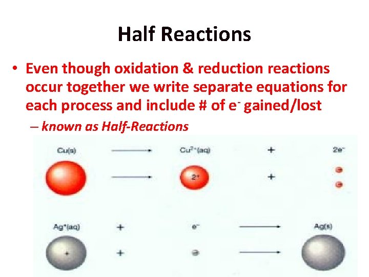 Half Reactions • Even though oxidation & reduction reactions occur together we write separate