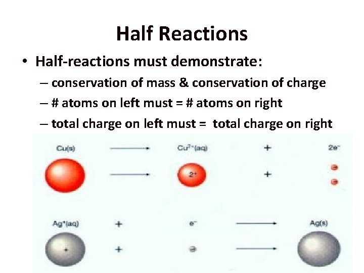 Half Reactions • Half-reactions must demonstrate: – conservation of mass & conservation of charge