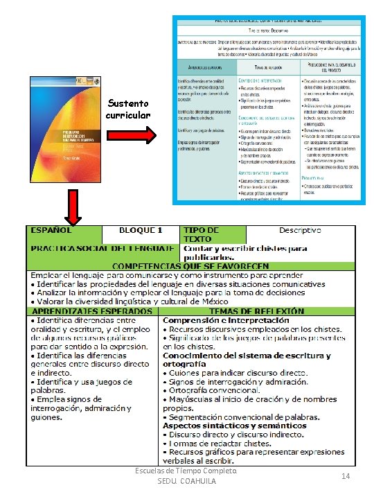 Sustento curricular Escuelas de Tiempo Completo. SEDU. COAHUILA 14 