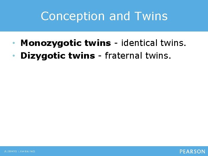 Conception and Twins • Monozygotic twins - identical twins. • Dizygotic twins - fraternal