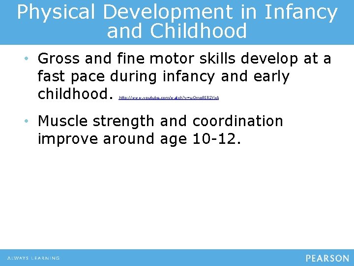 Physical Development in Infancy and Childhood • Gross and fine motor skills develop at