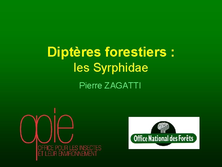 Diptères forestiers : les Syrphidae Pierre ZAGATTI 