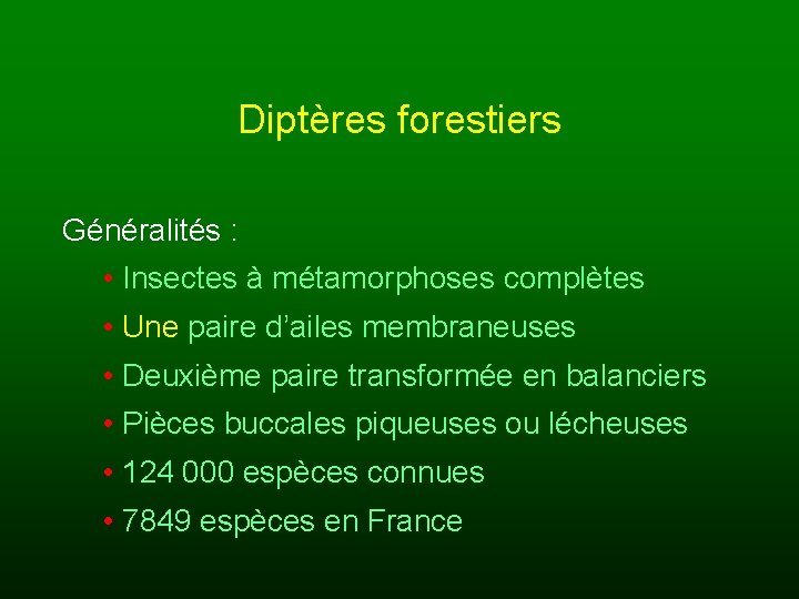 Diptères forestiers Généralités : • Insectes à métamorphoses complètes • Une paire d’ailes membraneuses