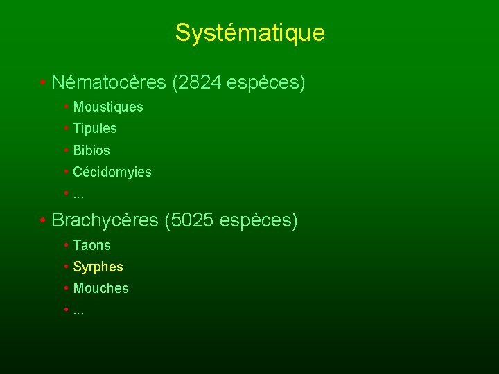 Systématique • Nématocères (2824 espèces) • Moustiques • Tipules • Bibios • Cécidomyies •