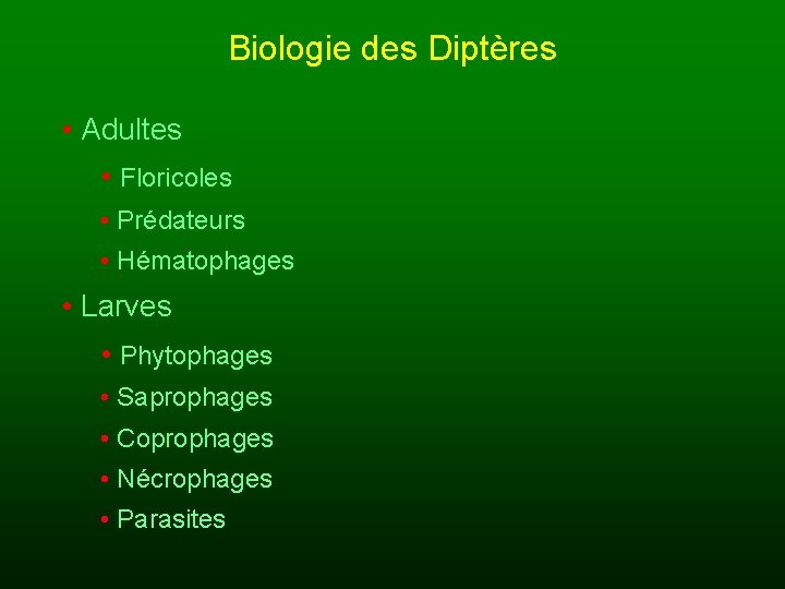Biologie des Diptères • Adultes • Floricoles • Prédateurs • Hématophages • Larves •