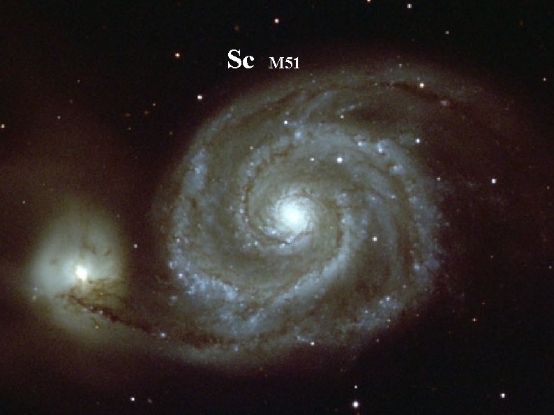 Sc M 51 