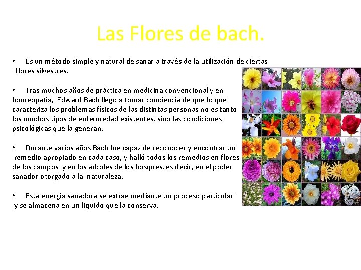 Las Flores de bach. • Es un método simple y natural de sanar a