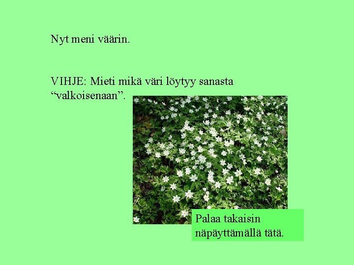 Nyt meni väärin. VIHJE: Mieti mikä väri löytyy sanasta “valkoisenaan”. Palaa takaisin näpäyttämällä tätä.