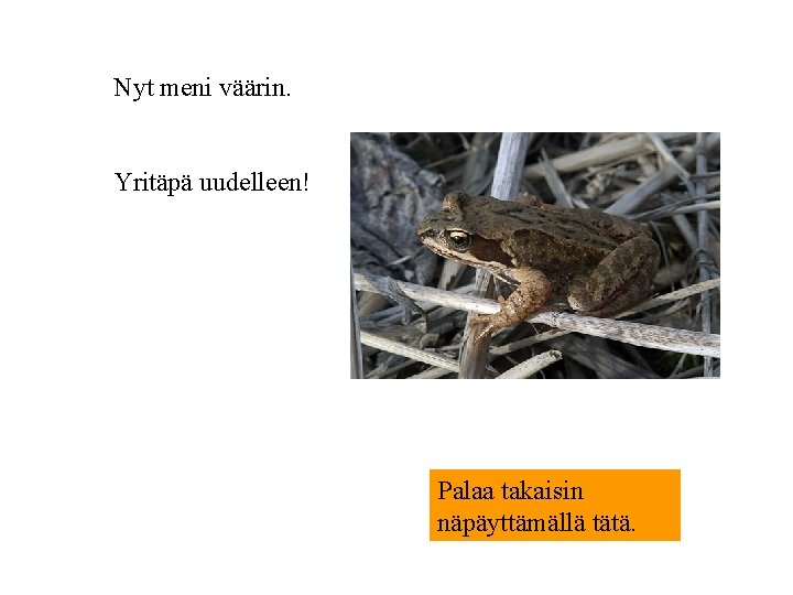 Nyt meni väärin. Yritäpä uudelleen! Palaa takaisin näpäyttämällä tätä. 