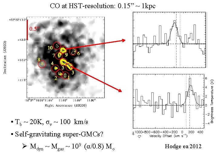 CO at HST-resolution: 0. 15” ~ 1 kpc 0. 5” • Tb ~ 20