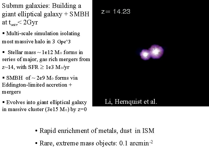 10 Submm galaxies: Building a giant elliptical galaxy + SMBH at tuniv< 2 Gyr