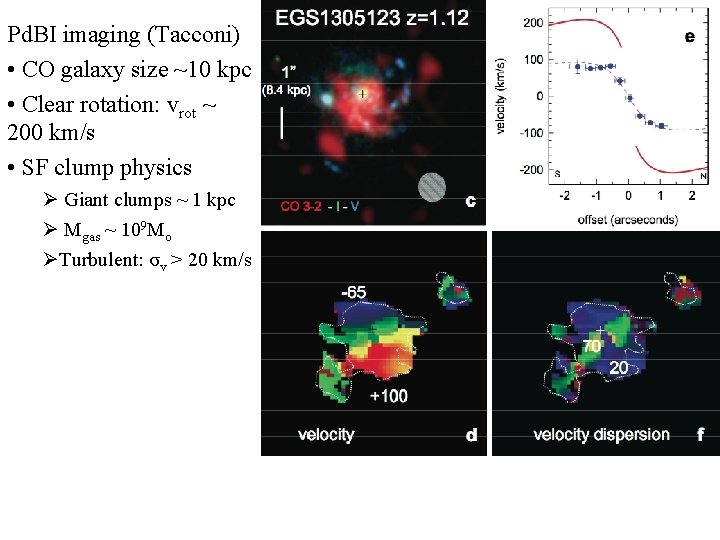 Pd. BI imaging (Tacconi) • CO galaxy size ~10 kpc • Clear rotation: vrot