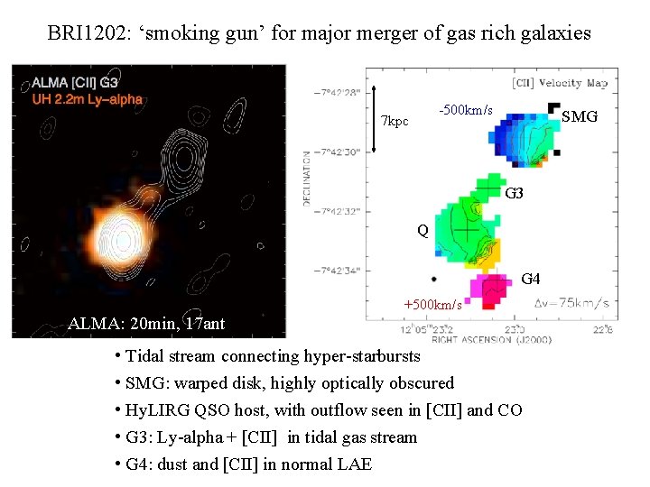 BRI 1202: ‘smoking gun’ for major merger of gas rich galaxies -500 km/s 7