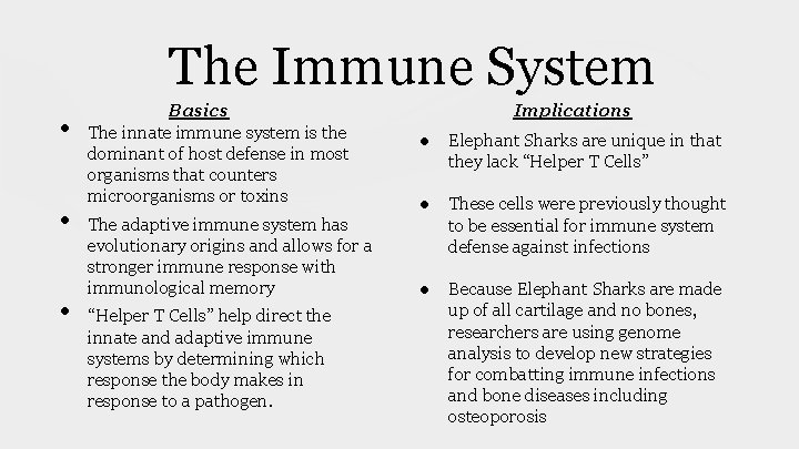 The Immune System • • • Basics The innate immune system is the dominant The Immune System • • • Basics The innate immune system is the dominant