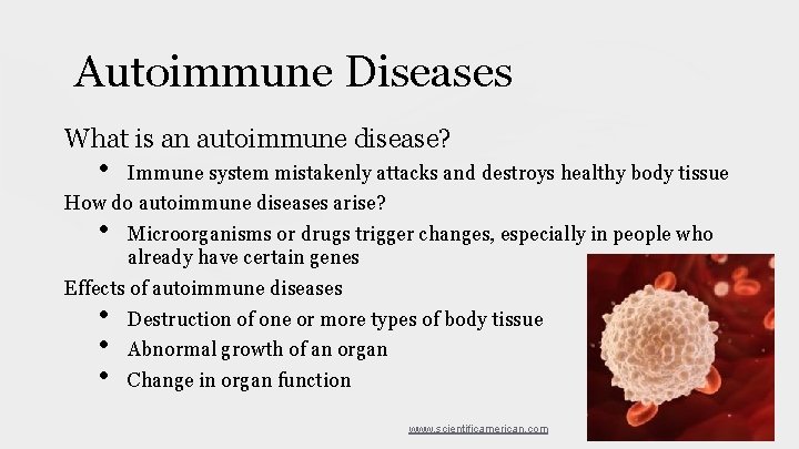 Autoimmune Diseases What is an autoimmune disease? • Immune system mistakenly attacks and destroys Autoimmune Diseases What is an autoimmune disease? • Immune system mistakenly attacks and destroys
