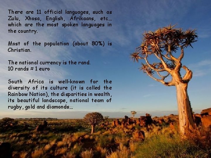 There are 11 official languages, such as Zulu, Xhosa, English, Afrikaans, etc… which are