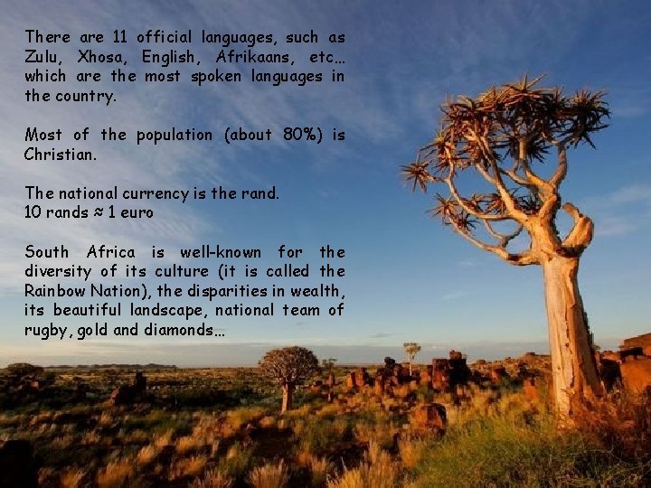 There are 11 official languages, such as Zulu, Xhosa, English, Afrikaans, etc… which are