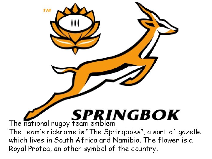 The national rugby team emblem The team’s nickname is “The Springboks”, a sort of