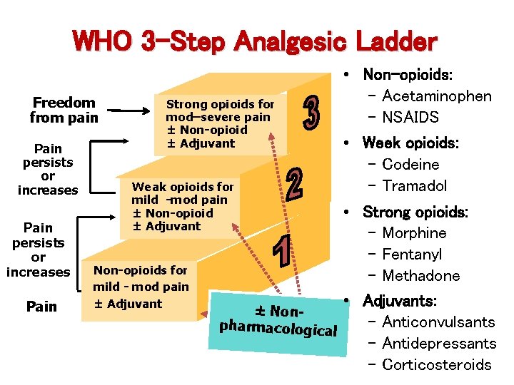 WHO 3 -Step Analgesic Ladder Freedom from pain Pain persists or increases Pain Strong