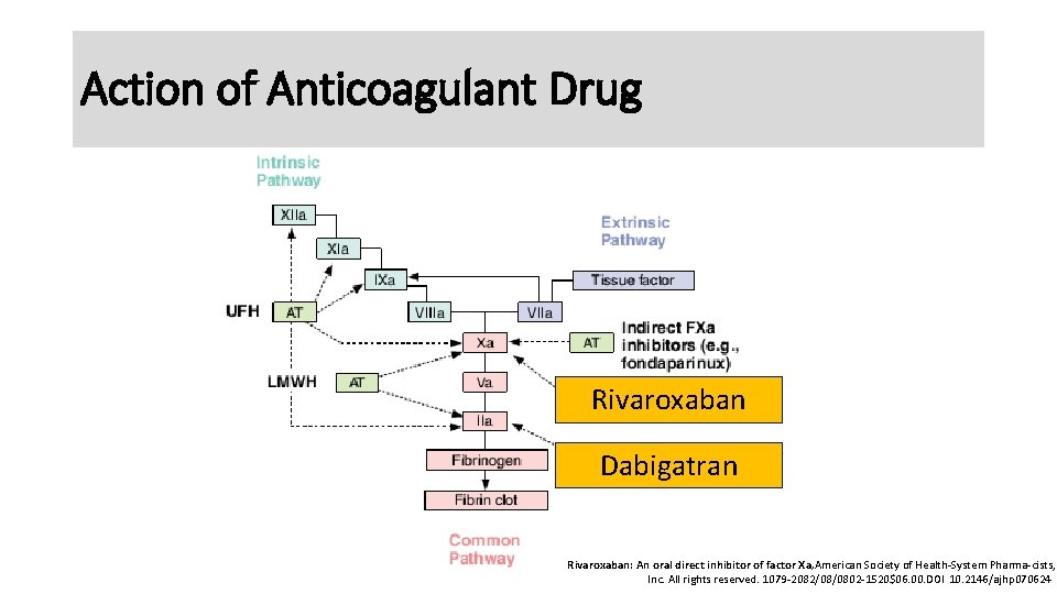 Action of Anticoagulant Drug Rivaroxaban Dabigatran Rivaroxaban: An oral direct inhibitor of factor Xa,
