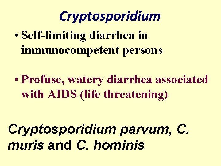 Cryptosporidium • Self-limiting diarrhea in immunocompetent persons • Profuse, watery diarrhea associated with AIDS