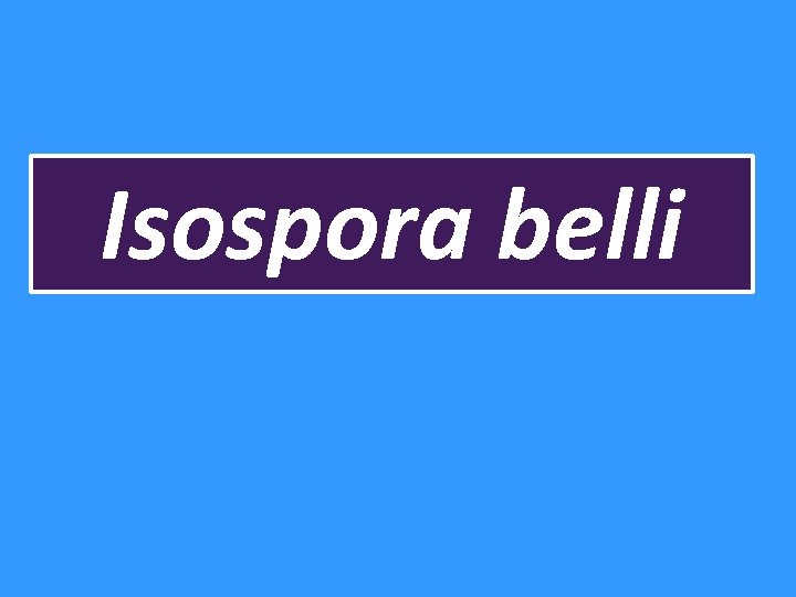 Isospora belli 