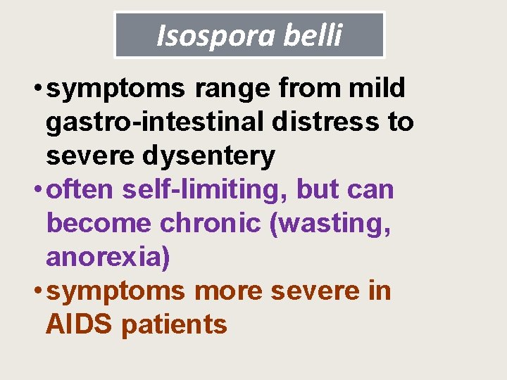 Isospora belli • symptoms range from mild gastro-intestinal distress to severe dysentery • often