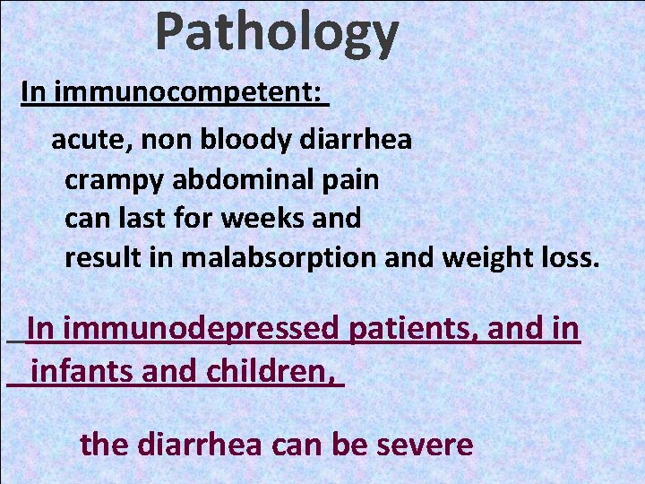 Pathology In immunocompetent: acute, non bloody diarrhea crampy abdominal pain can last for weeks