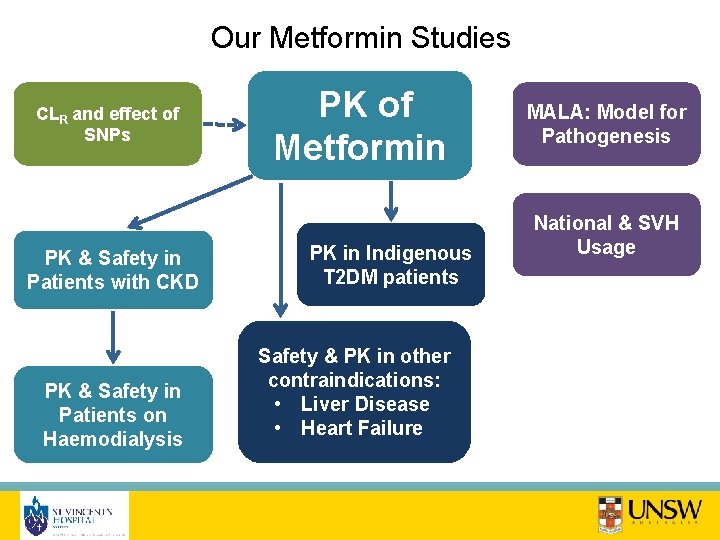 Our Metformin Studies CLR and effect of SNPs PK & Safety in Patients with