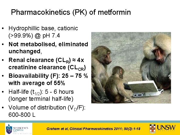 Pharmacokinetics (PK) of metformin • Hydrophillic base, cationic (>99. 9%) @ p. H 7.