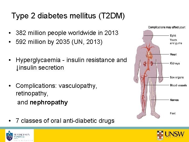 Type 2 diabetes mellitus (T 2 DM) • 382 million people worldwide in 2013