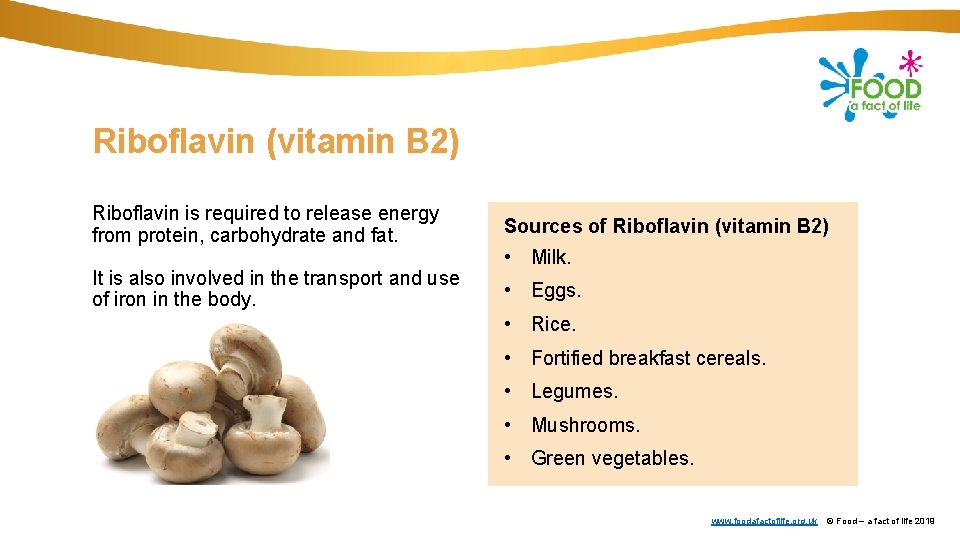 Riboflavin (vitamin B 2) Riboflavin is required to release energy from protein, carbohydrate and