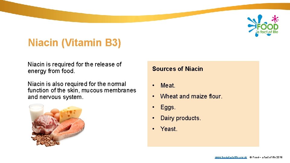 Niacin (Vitamin B 3) Niacin is required for the release of energy from food.