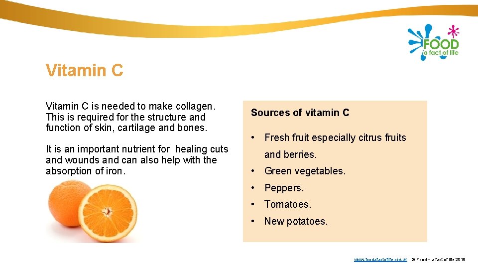 Vitamin C is needed to make collagen. This is required for the structure and