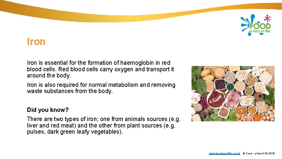Iron is essential for the formation of haemoglobin in red blood cells. Red blood