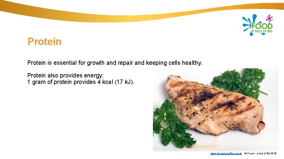 Protein is essential for growth and repair and keeping cells healthy. Protein also provides