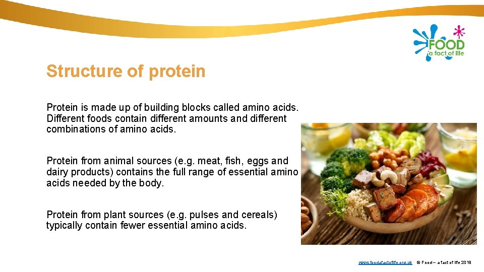 Structure of protein Protein is made up of building blocks called amino acids. Different