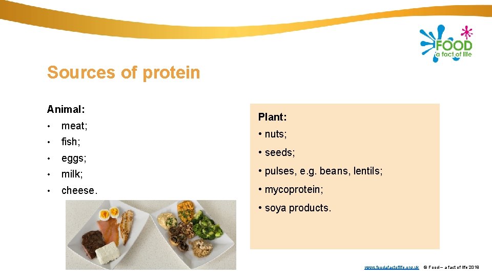 Sources of protein Animal: Plant: • meat; • fish; • eggs; • milk; •