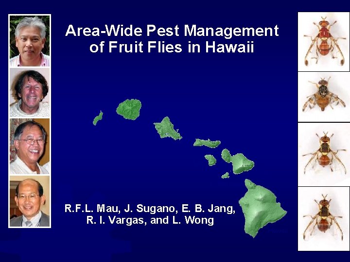 Area-Wide Pest Management of Fruit Flies in Hawaii Niihau Kauai Oahu Molokai Lanai Maui