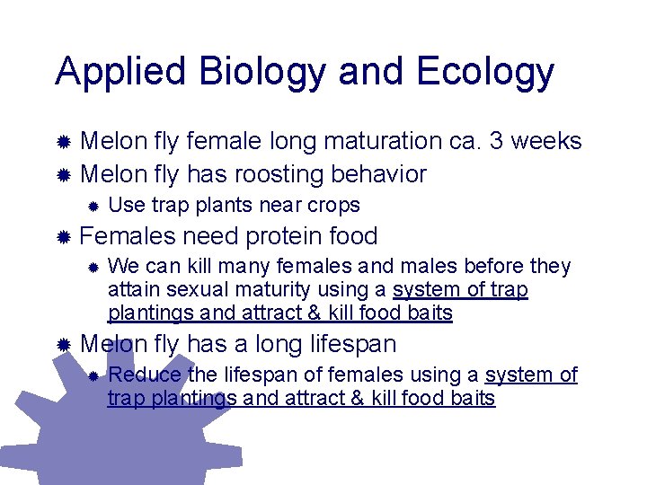 Applied Biology and Ecology ® Melon fly female long maturation ca. 3 weeks ®