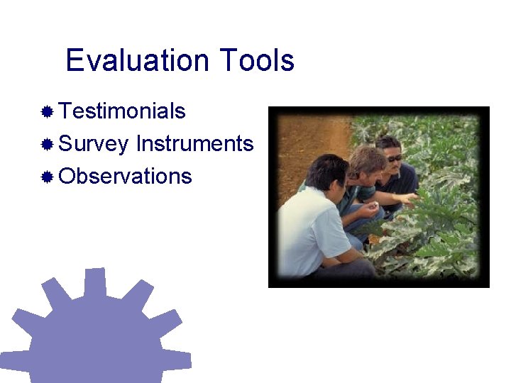 Evaluation Tools ® Testimonials ® Survey Instruments ® Observations 