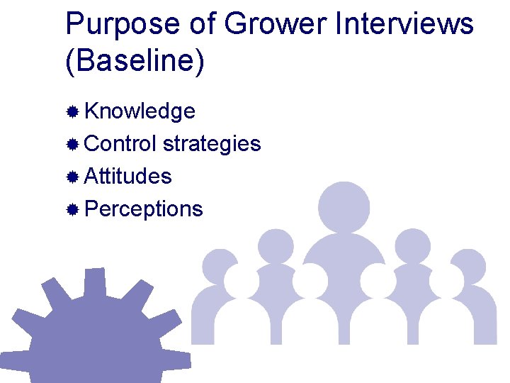 Purpose of Grower Interviews (Baseline) ® Knowledge ® Control strategies ® Attitudes ® Perceptions