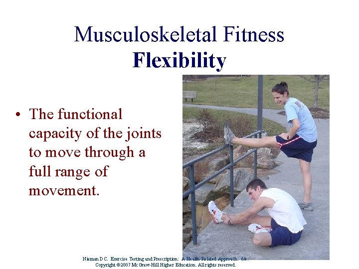 Musculoskeletal Fitness Flexibility • The functional capacity of the joints to move through a