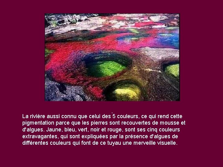 . La rivière aussi connu que celui des 5 couleurs, ce qui rend cette